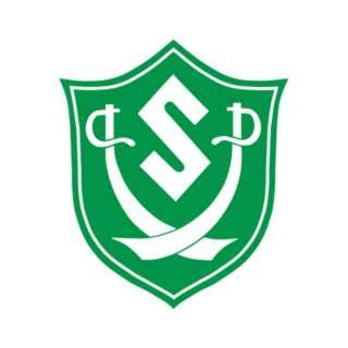 Eric Paulus, Schalmont High School Student Dies in Tragic Train Accident; Community in Mourning